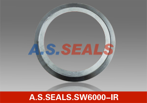 Spiral wound gasket with inner ring